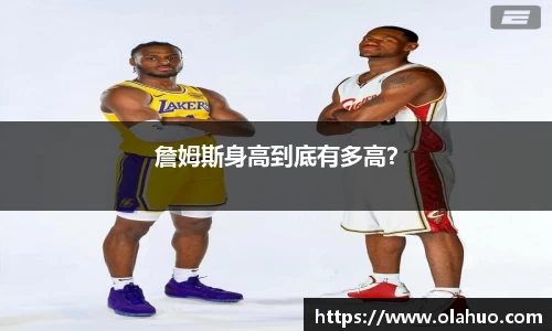 完美体育官网